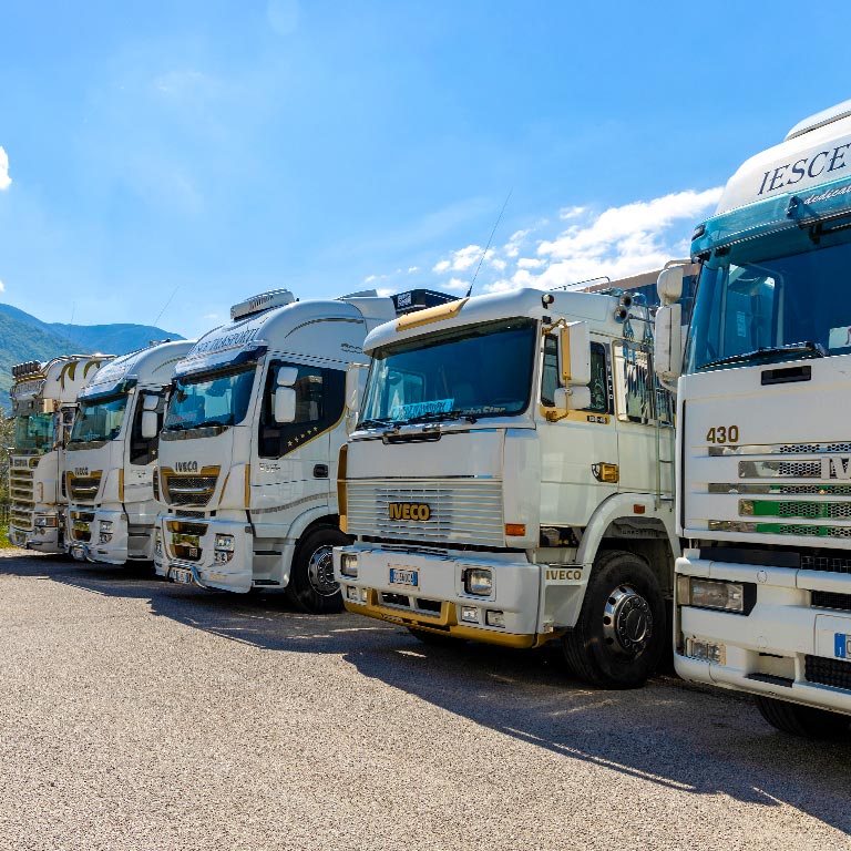 Alcuni Mezzi Nuova Iesce Trasporti
