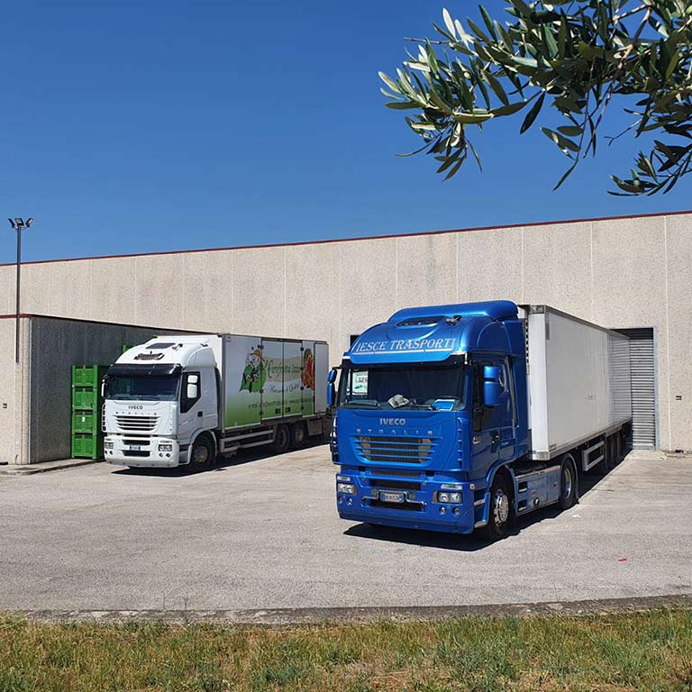 camion in piazzale nuova iesce trasporti