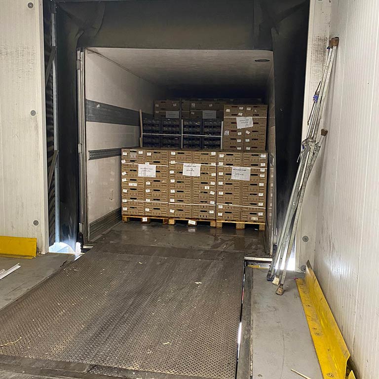 magazzino nuova iesce trasporti